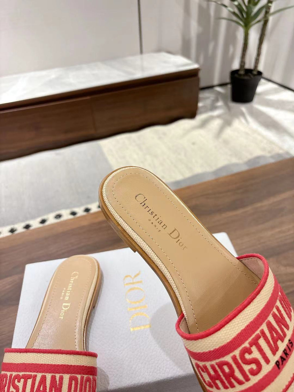 Dior Dway Slides in Beige and Red Technical Fabric