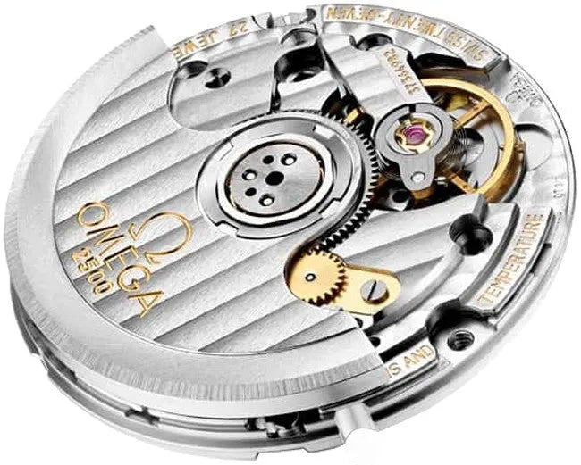 Omega Silver Dial Two Tone - Hình 2