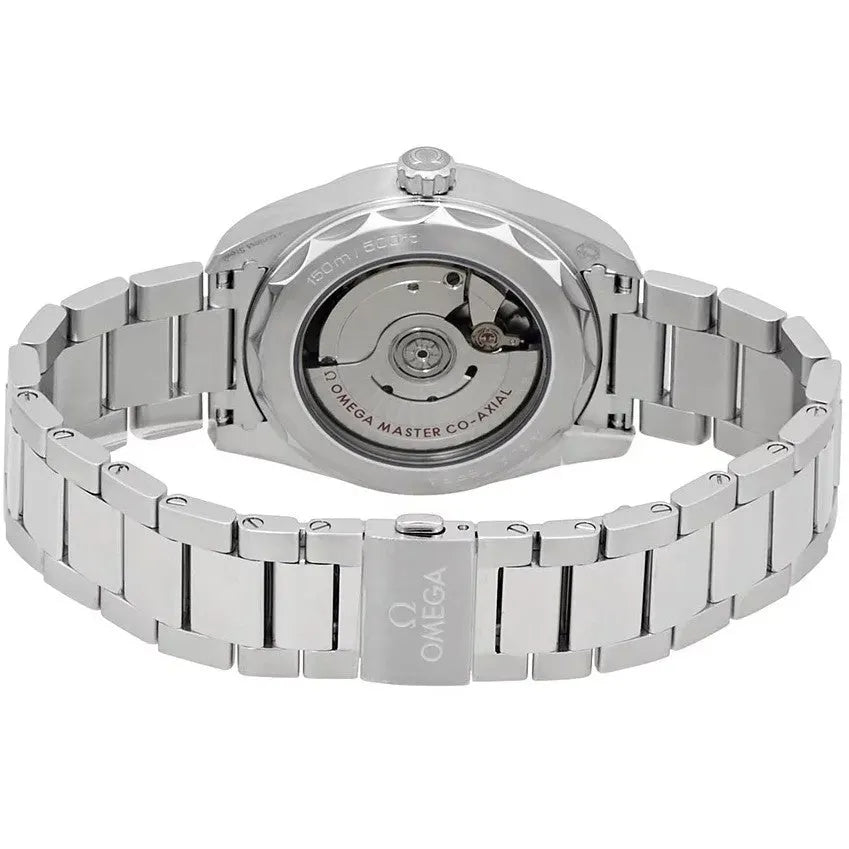 Omega Seamaster Aqua Terra Silver - Hình 3