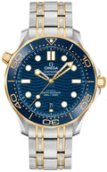 Omega Seamaster Blue Wave Two-Tone