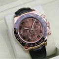 Rolex Daytona Chocolate Dial rose